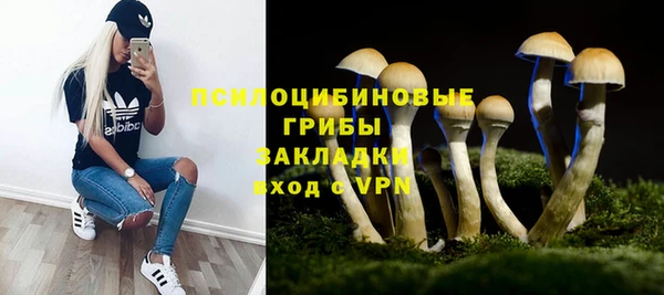 PSILOCYBIN Гусиноозёрск