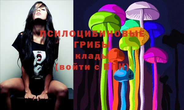 PSILOCYBIN Гусиноозёрск