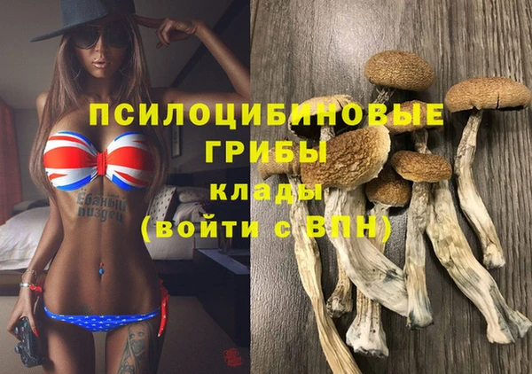 дурь Наволоки