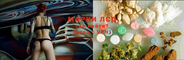 PSILOCYBIN Гусиноозёрск