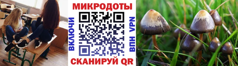МЕГА как зайти  Ковылкино  Галлюциногенные грибы ЛСД 